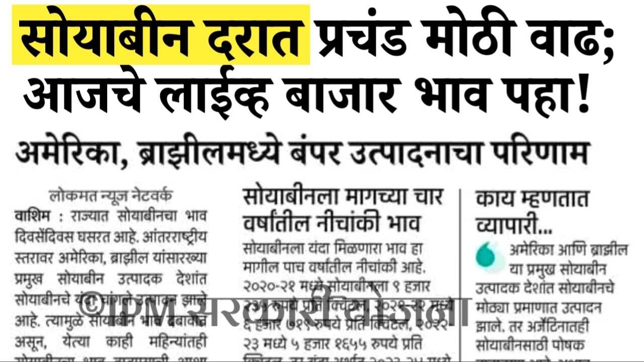 सोयाबीन दरात मोठे बदल; आजचे लाईव्ह बाजार भाव पहा Soyabean Rate Today