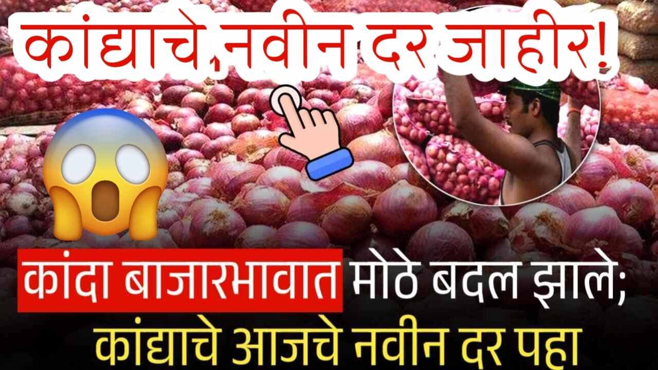 कांदा रडवणार? कांदा बाजारभावात मोठे बदल; नवीन दर पहा पहा Onion Rate Today