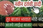 तुर भावात मोठे बदल; तुरीचे आजचे लाईव्ह बाजार भाव पहा Tur Rate Today