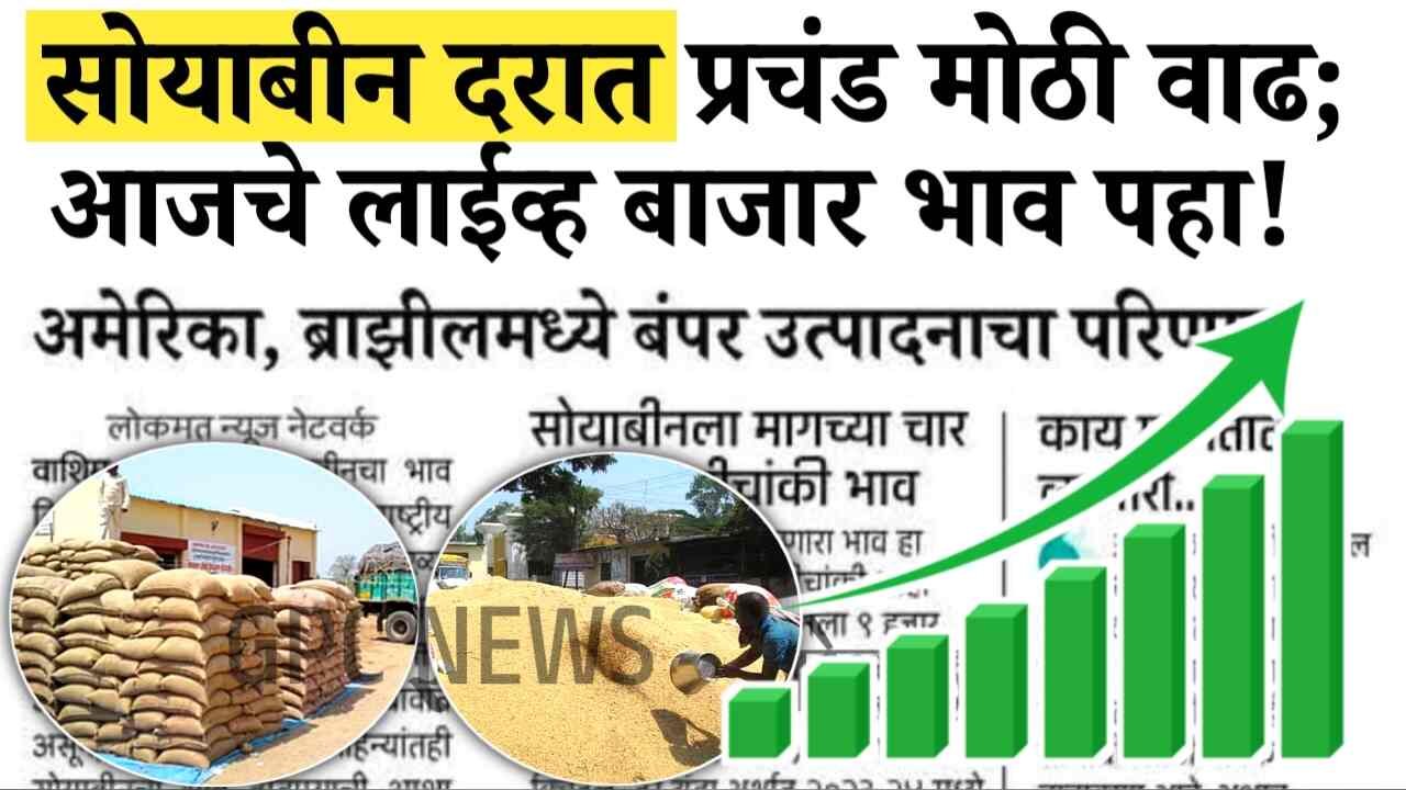 सोयाबीनच्या दरात खूप मोठी वाढ! यंदा 6000 भाव? आजचे लाईव्ह बाजारभाव पहा Soybean Rate Today